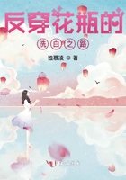 反穿花瓶的洗白之路在線閱讀