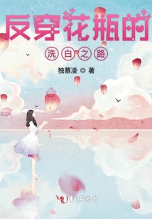 反穿花瓶的洗白之路