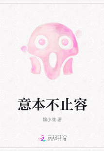 意本不止容