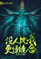 没人比我更懂缝合在线阅读
