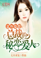 总裁的秘恋爱人在线阅读