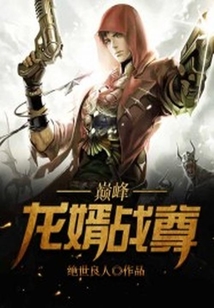 巅峰龙婿战尊