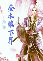西游：奎木狼下界在線閱讀