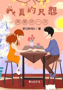 我真的只想再愛你一次