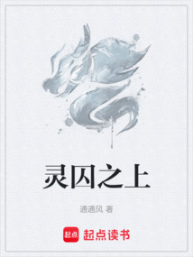 灵囚之上