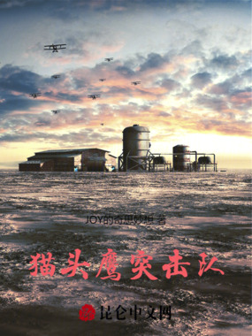 猫头鹰突击队在线阅读