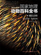 哺乳动物:卵生动物·有袋动物(国家地理动物百科全书)在线阅读