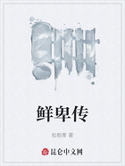 鲜卑传在线阅读