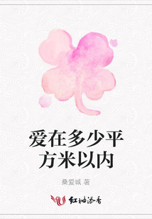 愛在多少平方米以內