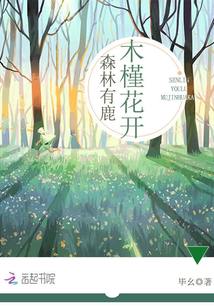 森林有鹿，木槿花開