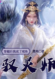 穿越后我成了咸魚馭靈師