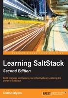 Learning SaltStack（Second Edition）在线阅读