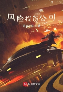 風(fēng)險(xiǎn)投資公司