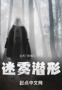 迷霧潛形