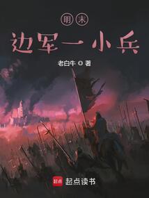 明末边军一小兵在线阅读