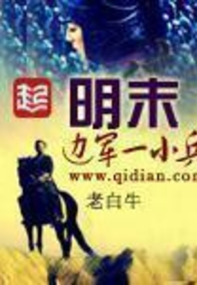 明末边军一小兵在线阅读