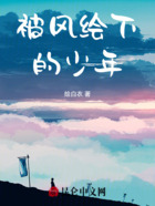 被风绘下的少年在线阅读