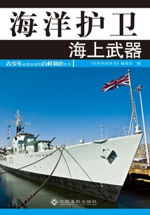 海洋護衛:海上武器