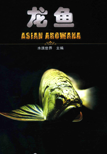 龍魚