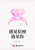 遇見桔梗遇見你在線閱讀