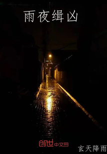 雨夜缉凶