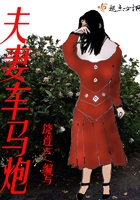 夫妻车马炮在线阅读