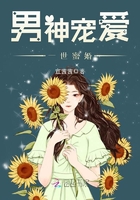 男神寵愛，一世蜜婚在線閱讀