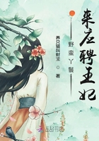野蠻丫鬟來應聘王妃在線閱讀