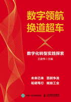 数字领航 换道超车：数字化转型实践探索