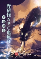 天级融合:野猪怪NPC也疯狂