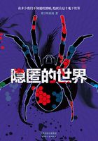 隐匿的世界