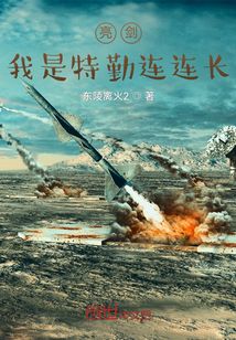 亮劍：我是特勤連連長