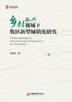 鄉村振興視域下牧區新型城鎮化研究在線閱讀