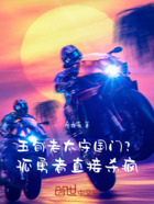 五旬老太守国门？孤勇者直接杀疯在线阅读