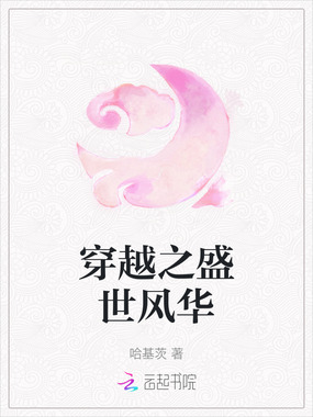 穿越之盛世风华在线阅读