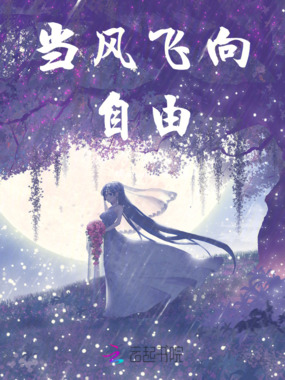 当风飞向自由在线阅读