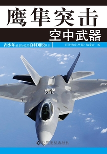 鷹隼突擊：空中武器