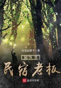 我真是民宿老板