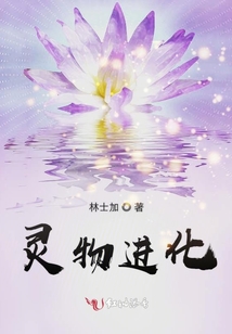 靈物進(jìn)化