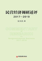 民营经济调研述评2017—2019在线阅读