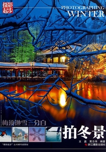 梅須遜雪三分白：拍冬景