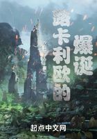 路卡利歐的爆誕在線閱讀