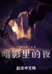 暗影里的夜