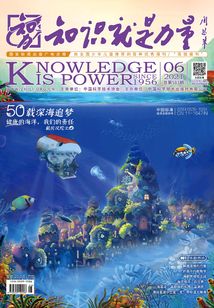 知識就是力量（2021年第6期）
