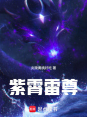 紫霄雷尊在线阅读