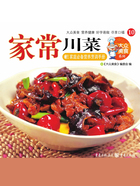 大众美食系列10：家常川菜在线阅读