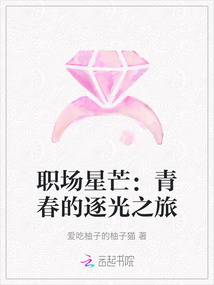 職場星芒：青春的逐光之旅
