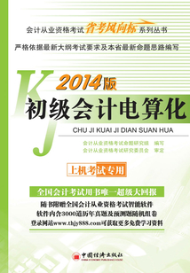 2014版初級會計電算化