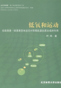 低氧和運動經雄激素：雄激素受體途徑對骨骼肌蛋白質合成的作用
