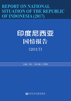 印度尼西亚国情报告（2017）在线阅读